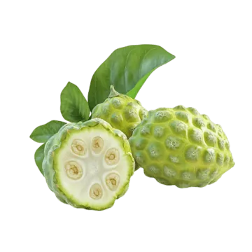 Mengkudu